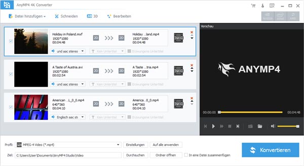 Video in den 4K Converter laden
