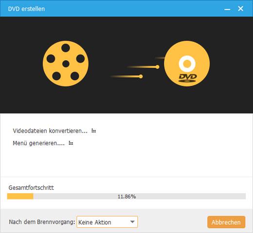 Video auf DVD brennen