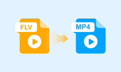 FLV to MP4 Converter