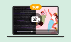 3GP reparieren
