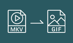 MKV to GIF