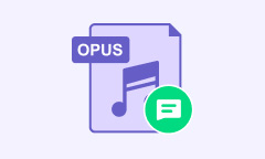 OPUS Codec