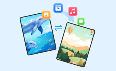 Daten von iPad auf iPad übertragen