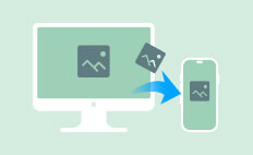 Fotos von Mac auf iPhone übertragen