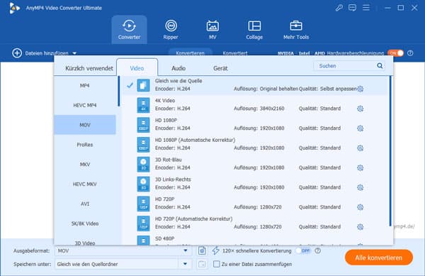 Das gewünschte Ausgabeformat auswählen